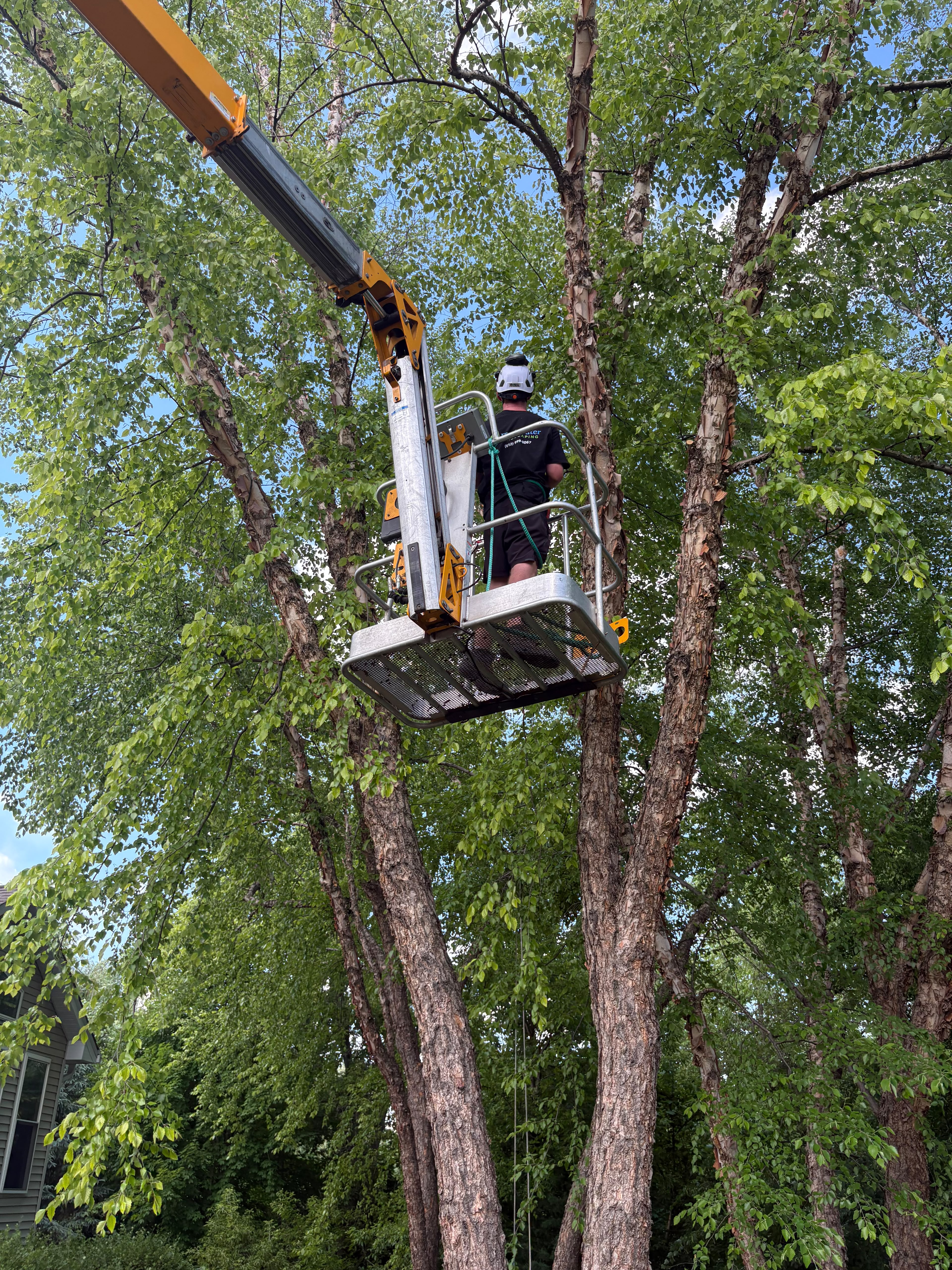 Reece tree service — bucket truck